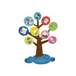 About Us